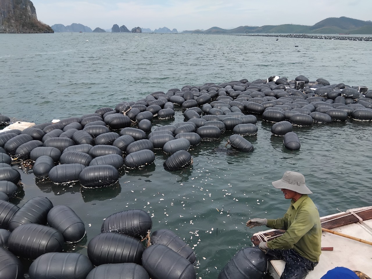 Ngư dân Quảng Ninh ngâm mình giữa biển, vớt vát chút tài sản còn lại sau bão số 3